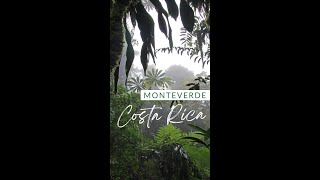 Visit Monteverde Costa Rica [upl. by Nytsua775]