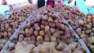 Saudi Arabia’s Unaizah Date Festival [upl. by Nova]