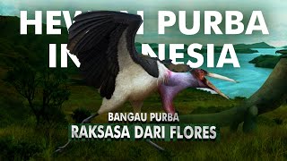 Bagaimana Bangau Purba Raksasa Ini Hidup di Indonesia  Leptoptilos Robustus [upl. by Nelyahs]