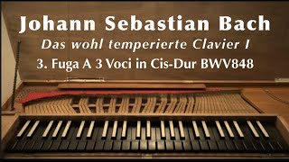 J S Bach on clavichord WTC I Fugue No 3 in C sharp Major WTK I CisDur BWV 848 [upl. by Arayc]