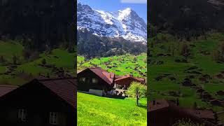 Train rides to the swiss alps switzerland nature travel grindelwald train fyp village relax [upl. by Llaccm]