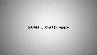 Ricardo Mollo  Sanar  Video Lyric [upl. by Lleneg]