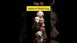 Top 10 Name of Male Dogs youtubeshorts yt shorts [upl. by Adnilak469]