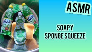 ASMR Soapy Sponge Squeeze Fabuloso amp Palmolive Dish Soap SatisfyingMoodSleep Aid [upl. by Petronia]