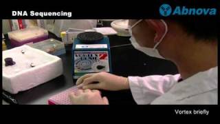 DNA Sequencing [upl. by Brie]