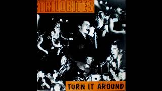 The Trilobites ‎– Turn It Around 1987 [upl. by Odnomar]