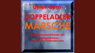 Das Lied Der Donau DonauwellenWalzer [upl. by Jepson]