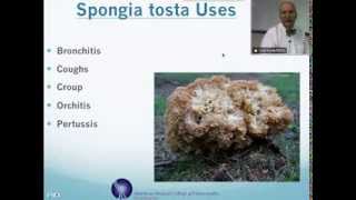 Spongia Tosta Homeopathic Medicine Tips For Beginners [upl. by Ellekcir349]