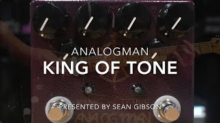 Analog Man  King of Tone with Sean Gibson of The Noise Reel [upl. by Crosley819]