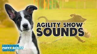 Agility Show Sounds  Lockdown Puppies [upl. by Waller745]