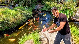 Amazing Koi Farm Tour [upl. by Annayat]