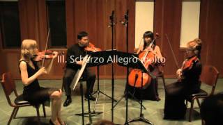 Schubert String Quartet No 14 quotDeath and The Maidenquot [upl. by Ayanaj]