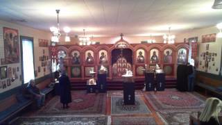 Hours Typika and Presanctified Liturgy  20170303 [upl. by Mccafferty782]