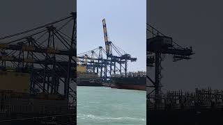 ship unberthing time shortvideo shiplovers ship [upl. by Durnan848]