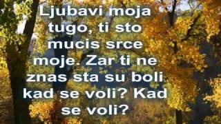 TOZOVAC Predrag Zivkovic JESEN U MOM SOKAKU [upl. by Schmeltzer417]