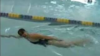 How to Swim the Freestyle Stroke  Breathing Pattern of the Freestyle Stroke [upl. by Onitsuj]