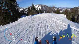 Rodeln Allgäu  Rodel Abfahrt Hochgrat mit Speed [upl. by Arhna174]