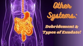 NPTE Selective vs Nonselective Debridement amp Types of Exudate with PRACTICE QUESTIONS [upl. by Robbert]