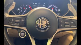 Alfa Romeo Giulia Paddle Shifter Installation [upl. by Otrebmal329]