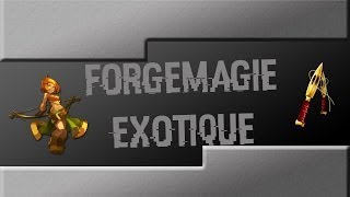 Dofus Tutoriel Forgemagie Exotique [upl. by Ellene]