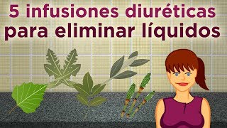 5 infusiones diuréticas para eliminar líquidos [upl. by Godard645]