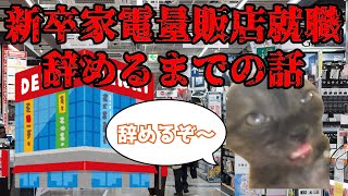 【底辺】新卒で入ったブラック企業を8ヶ月で辞めるまでの話【猫ミーム】 猫ミーム [upl. by Adlesirg]