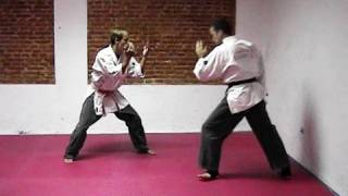 Tecnicas de Defensa Personal Yawara Jitsu [upl. by Sheilah]