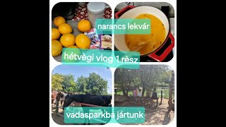 Hétvégi vlog 1rész  Szigethalmi Vadaspark narancslekvár ahogy én készítettem [upl. by Grantland71]