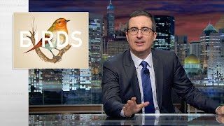 Birds Last Week Tonight with John Oliver Web Exclusive [upl. by Eeral476]