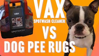 Vax SpotWash Spot Cleaner CDCWCSXS vs Dog Wee Fight of the Year [upl. by Rodmun]