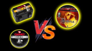 Plombs Gamo Pro VS Cobra VS Gamo Rocket [upl. by Vierno]