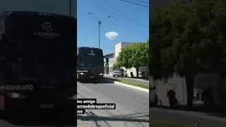 ônibus de cachorrão do brega [upl. by Napoleon]