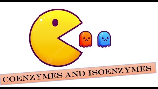 Enzymes Coenzymes and Isoenzyme [upl. by Claude]