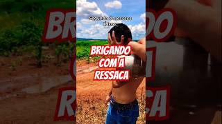 Ressaca Braba adega cerveja ressaca [upl. by Alguire842]