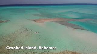 Crooked Island Bonefishing Adventures [upl. by Blanche508]