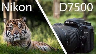 Nikon D7500 Review  Powerful But Not Perfect [upl. by Essirahs591]