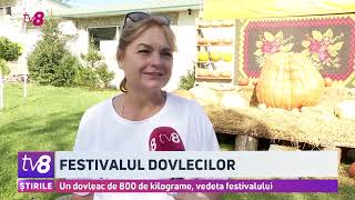 Festivalul dovlecilor Un dovleac de 800 de kilograme vedeta festivalului [upl. by Atirihs]