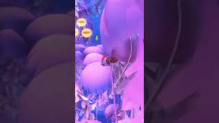 Finding Dory  Coral Reef Scene 1  RUSH A Disney • PIXAR Adventure [upl. by Elatan]