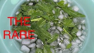 How to make the rare Margosa salad it’s healthy and delicious [upl. by Anayk295]