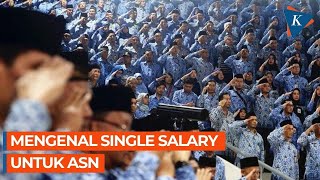 Gaji PNS Naik Lagi di 2025 Hingga Daftar 10 Kota Paling Layak Dihuni 2024 [upl. by Leahey]