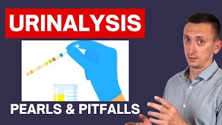 Urinalysis Interpretation in Urinary Tract Infections UTIs [upl. by Yclek284]