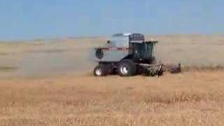 Gleaner R72 harvesting millet [upl. by Skardol961]