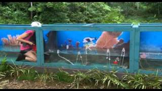 Im a Celebrity 2010  Bush Tucker Trial  Gillian McKeith  Aquatic Strife [upl. by Lipinski]