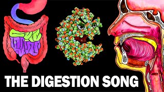 THE DIGESTIVE SYSTEM SONG [upl. by Groveman183]