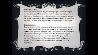 Nitrogen cycle [upl. by Childs]