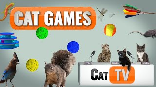 Cat Games  Ultimate Cat TV Compilation Vol 3  🐱 [upl. by Terbecki229]