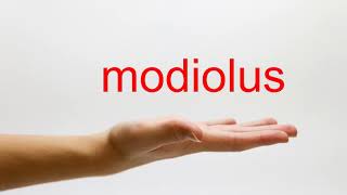 How to Pronounce modiolus  American English [upl. by Eloken107]