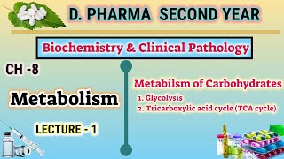 Electrochemistry Crash Course Chemistry 36 [upl. by Lemrahs]