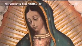 Guadalupe gli enigmi della Tilma [upl. by Sheree]