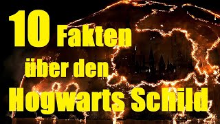 10 FAKTEN über den HOGWARTS SCHUTZSCHILD ✨ [upl. by Aokek315]